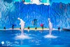 珠海长隆海洋王国一日游亲子游 门票+专车 长隆一天游直通车 天天出发 商品缩略图3