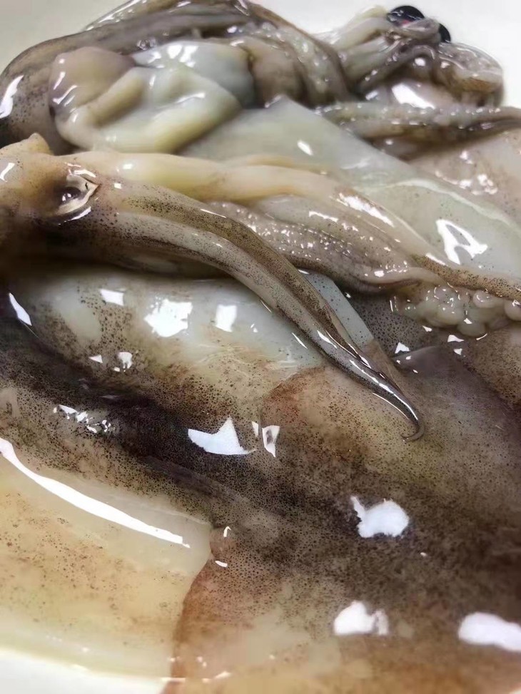 不碱发,不泡药水,纯纯滴好鱿鱼