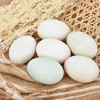北海海鸭蛋70g/个/10元/5个 商品缩略图2