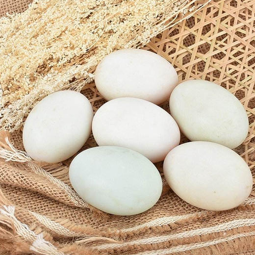 北海海鸭蛋70g/个/10元/5个 商品图2