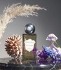 Régime des Fleurs 香水 商品缩略图4