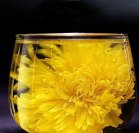 【明目去火】金丝皇菊一朵一杯