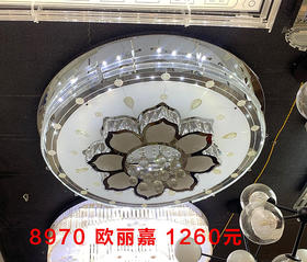 8970 欧嘉丽