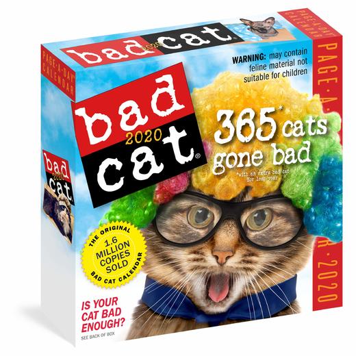 日历馆：猫咪日历《坏猫咪日历2020》真实而自然的猫咪图 处处都是生活的气息 商品图0