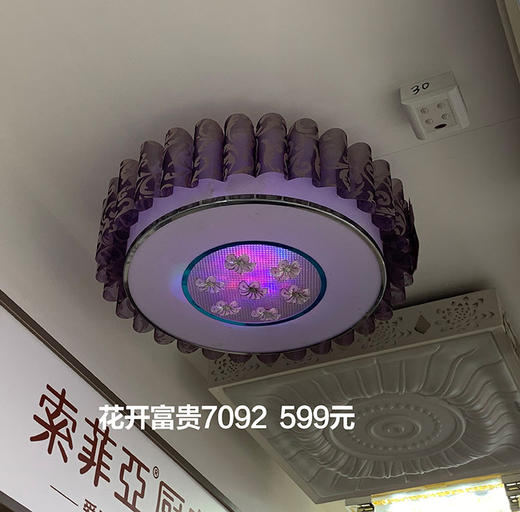 贵派花开富贵  7092 圆平板灯 商品图0