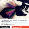 日历馆：猫咪日历《坏猫咪日历2020》真实而自然的猫咪图 处处都是生活的气息 商品缩略图4