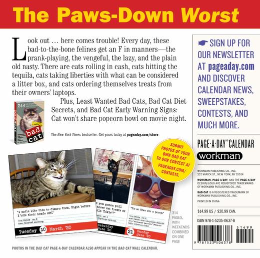 日历馆：猫咪日历《坏猫咪日历2020》真实而自然的猫咪图 处处都是生活的气息 商品图1