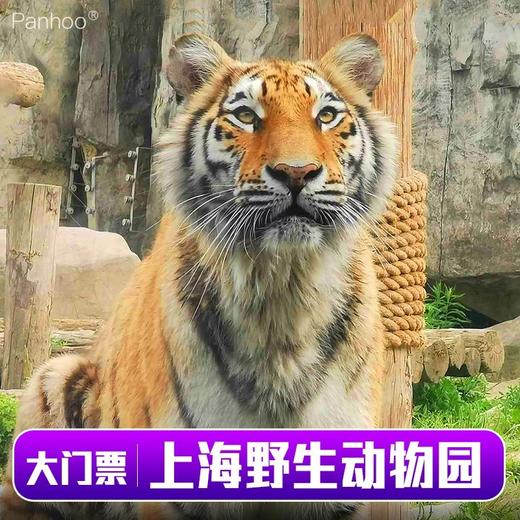 上海野生动物园 商品图0