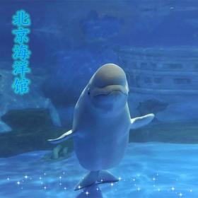 北京海洋馆+动物园门票