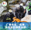 【广西】亲子科考@微路客崇左|北海深度生态探索之旅 商品缩略图0