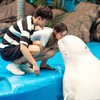 上海海昌海洋公园 商品缩略图2