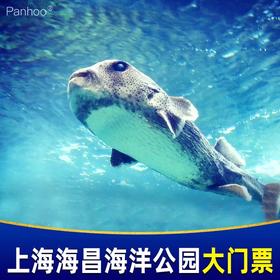 上海海昌海洋公园