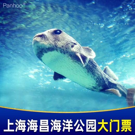 上海海昌海洋公园 商品图0