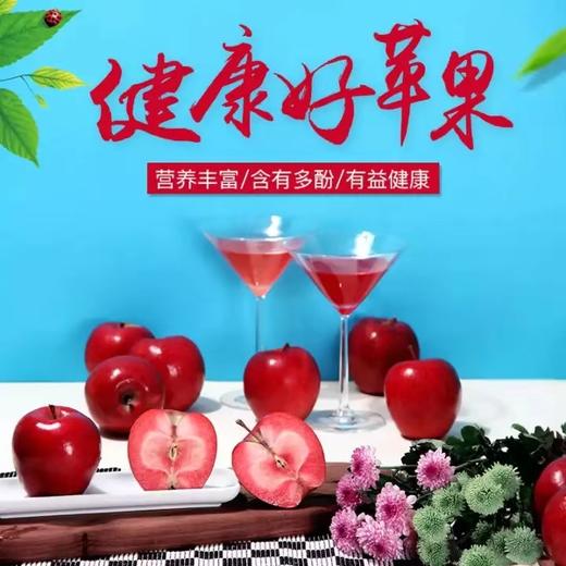 【顺丰发货】【特级红肉红心苹果】瑞士鲜食红色之爱 精品水果礼盒8颗装 商品图4