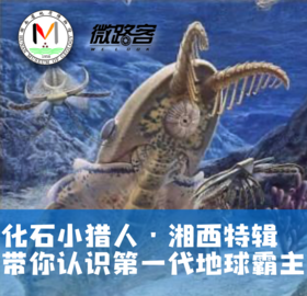 【湘西】化石小猎人• 湘西特辑|怒晴湘西，带你认识第一代地球霸主！