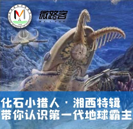 【湘西】化石小猎人• 湘西特辑|怒晴湘西，带你认识第一代地球霸主！ 商品图0