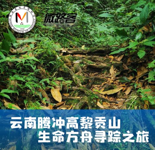 【腾冲】亲子科考@高黎贡山生命方舟寻踪之旅～ 商品图0
