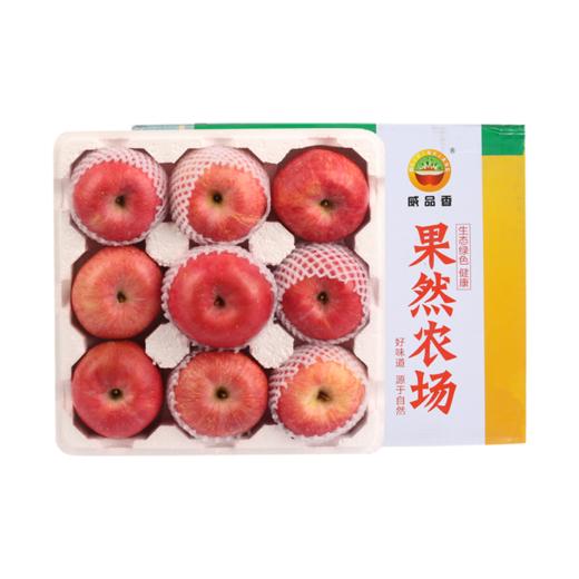 食味推荐 威海宫藤红富士苹果 生态种植 果肉香脆汁水多4.5～6.8斤 包邮 商品图3