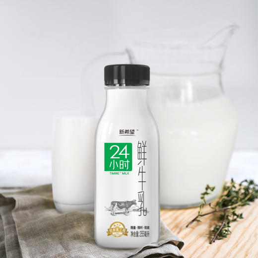 255mlPET24小时鲜牛乳 商品图1