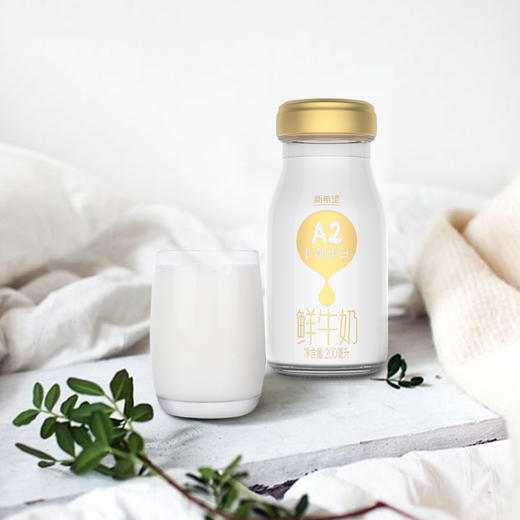 200mlA2玻璃瓶鲜牛奶 商品图2