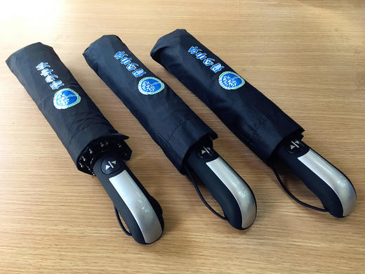 定制全自动加固雨伞 骨今中外 商品图0