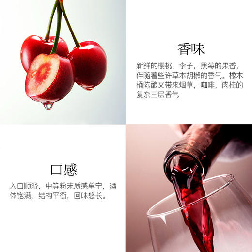 【世界杯国际挑战赛银奖】西班牙洛萨诺酒庄DO级 银欧上干红葡萄酒 红酒单支 西班牙原瓶原装 商品图1