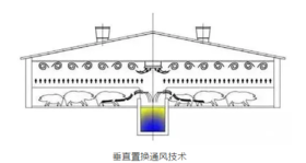 冬季养殖场氨气吸入过多，能引起肺肿胀，引发呼吸道问题甚至死亡！