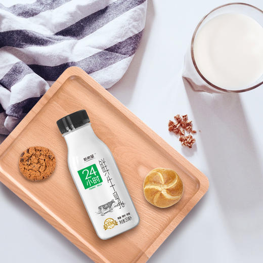 255mlPET24小时鲜牛乳 商品图2
