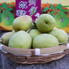 新疆库尔勒香梨12斤 商品缩略图0