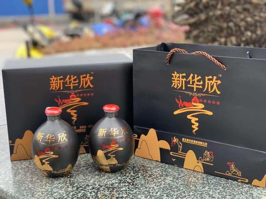 新华欣G6（1瓶）500ml 商品图0