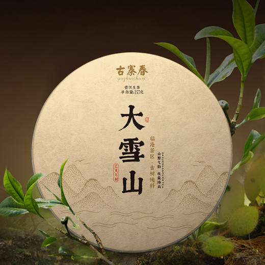 【大雪山拍1发2】【只有20份】临沧勐库普洱生茶500-1000年混采古树普洱茶 商品图0