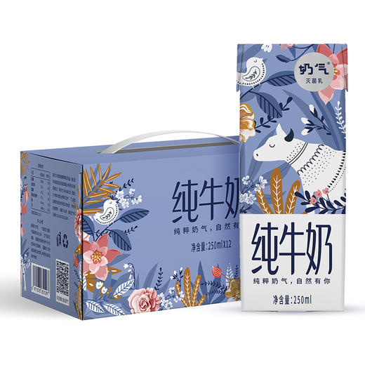 华山牧奶气纯牛奶250ml*12盒整箱早餐牛奶