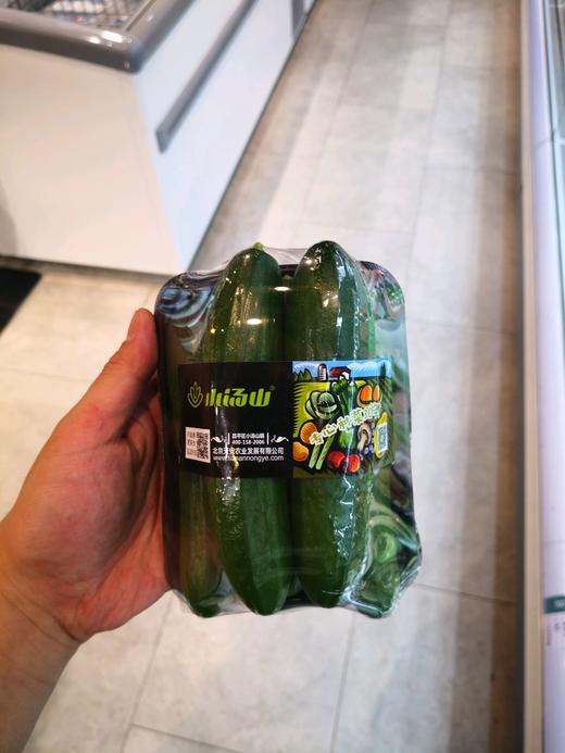 小汤山荷兰黄瓜 商品图0