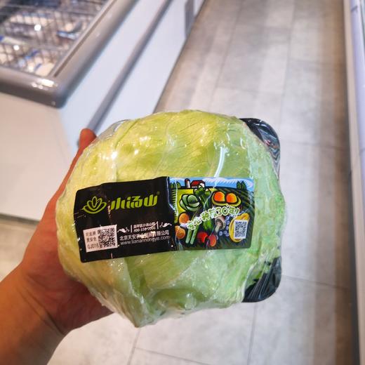 小汤山结球生菜 商品图0