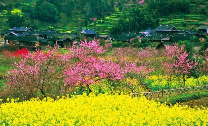 3月28日【紫鹊界梯田】古桃花源四天摄影之旅