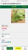小汤山菠菜苗 商品缩略图1