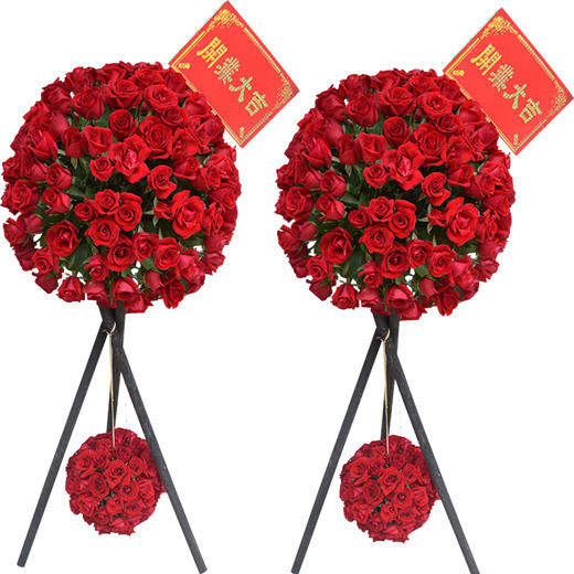 开业花篮-富贵吉祥 商品图0