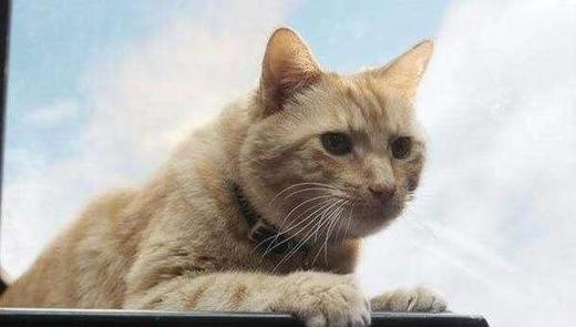 优惠套餐0821 商品图0