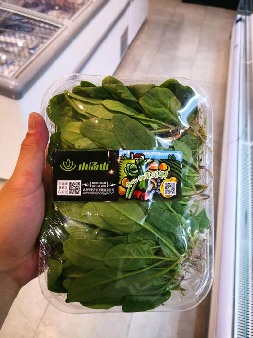 小汤山菠菜苗 商品图0