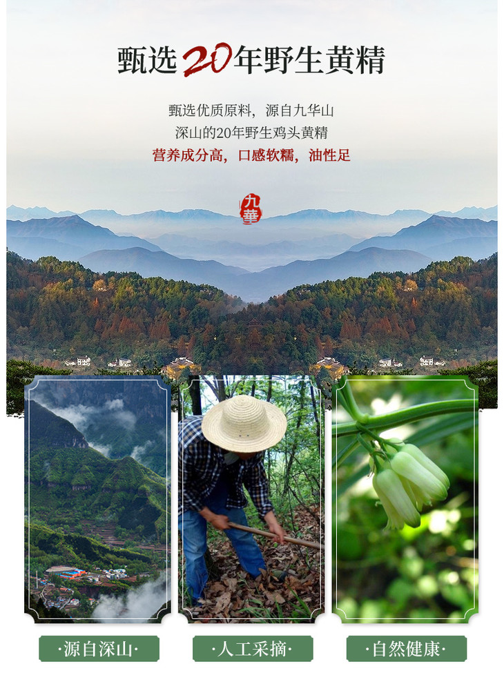优选| 集信堂九华山野生鸡头黄精 九蒸九晒九制即食黄精茶 450g/罐