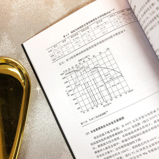 钛/铝特种氩弧焊工艺 商品图4