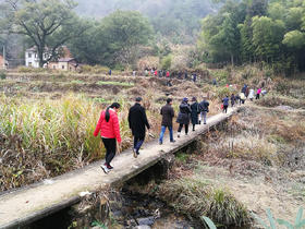  武汉疫情启示：动物吃剩的，才是我们的 