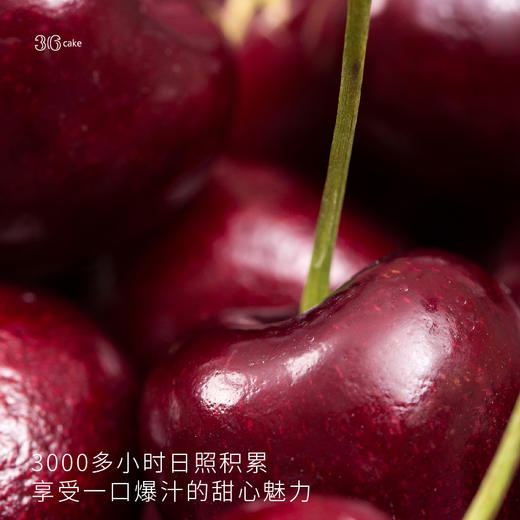 【6磅大蛋糕】甜心车厘子 鲜果蛋糕（深圳） 商品图2