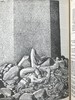 肯特版画插图 莎士比亚作品全集 精装厚重16开 商品缩略图9
