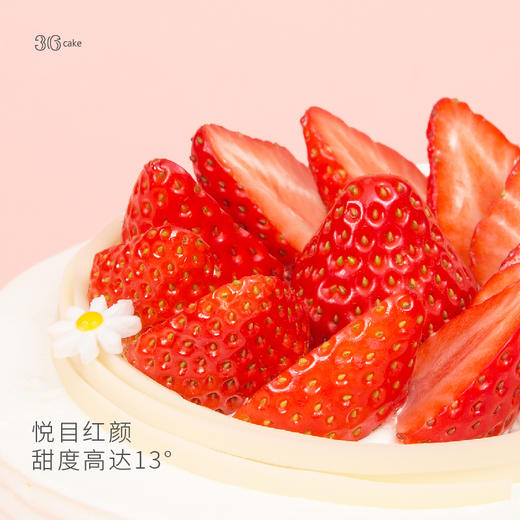 红颜草莓 鲜果蛋糕【鲜果系列】可选1/2/3/6磅（深圳/） 商品图2