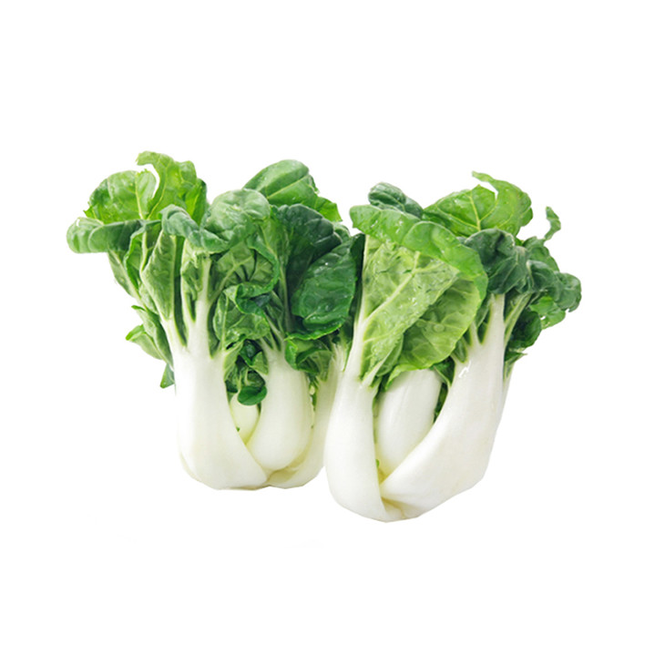【绿色认证蔬菜】奶白菜/奶白苗 500g 精包装 现摘现发
