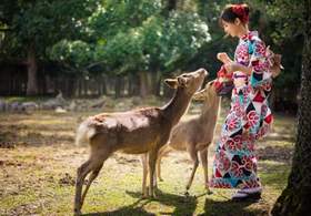 【精品小团】日本关西6天5晚游