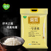 爱菊 东北大米 一号香米 5kg 商品缩略图3