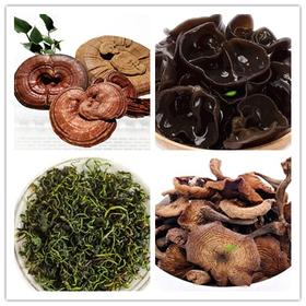 【吉味】吉林山珍礼盒 秋木耳榛蘑蒲公英根叶【发货时间待定】