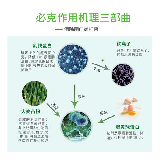 美亚体检 幽门螺杆菌专项健康管理 商品图4